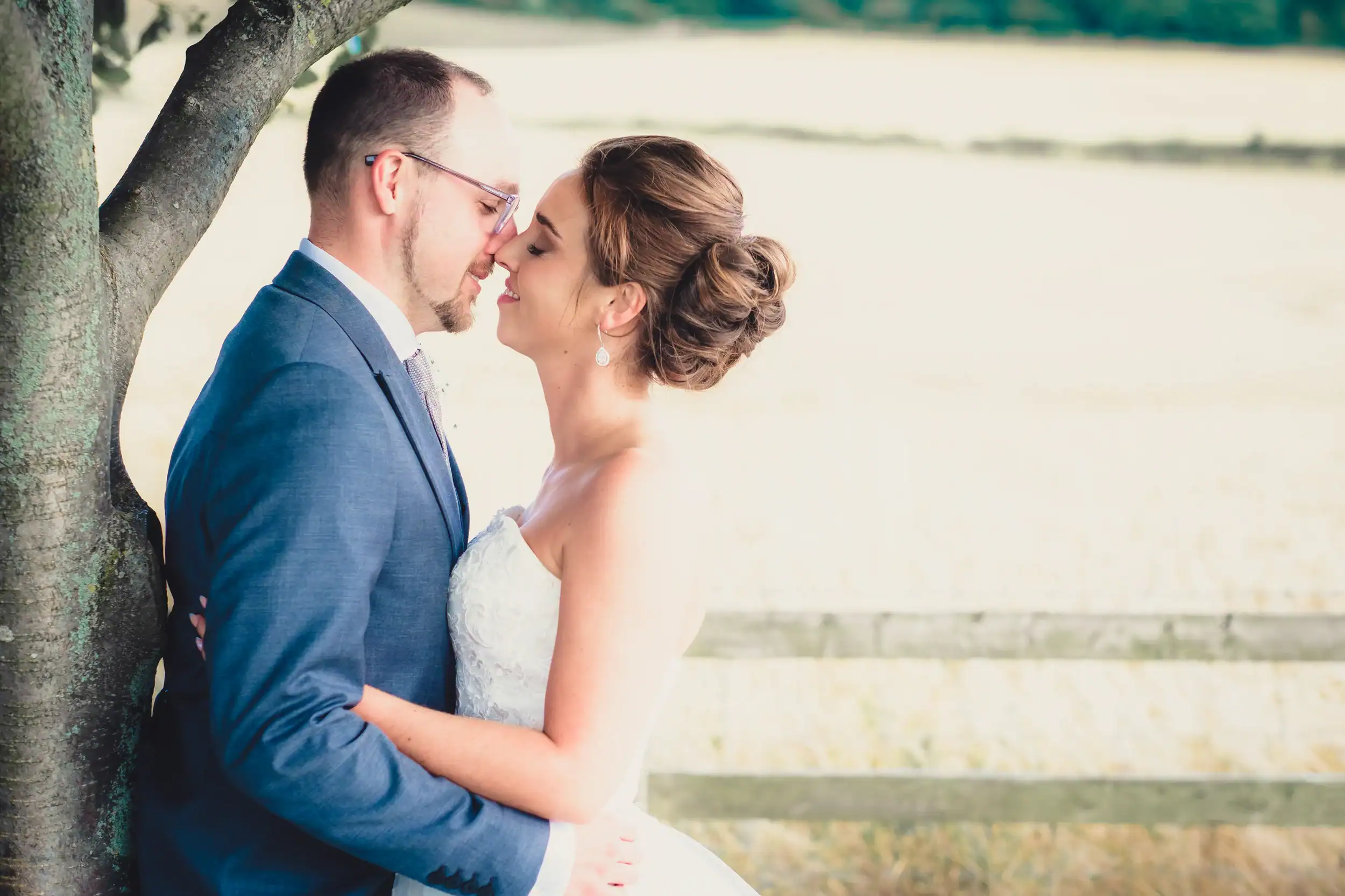 Bride and groom embrace under a tree in a sunny field