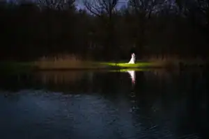 Bride and groom in spotlight reflecting on the lake at Silverwood Resort in Perth.