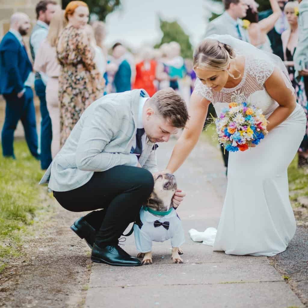 Bride and groom petting dog at outdoor wedding ceremony